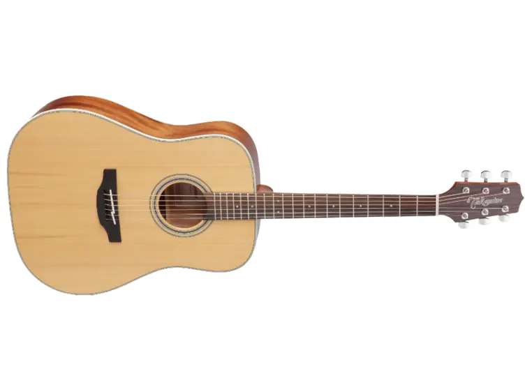 Takamine GD20-NS (Uten Hardcase) 